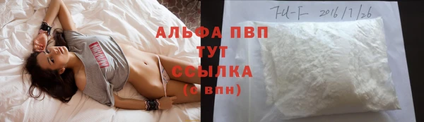 стаф Армянск