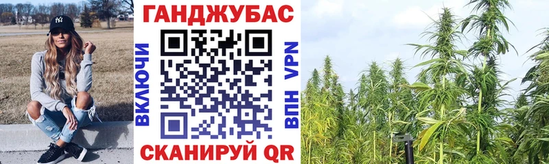 Канабис сатива  Купить где  Сусуман 